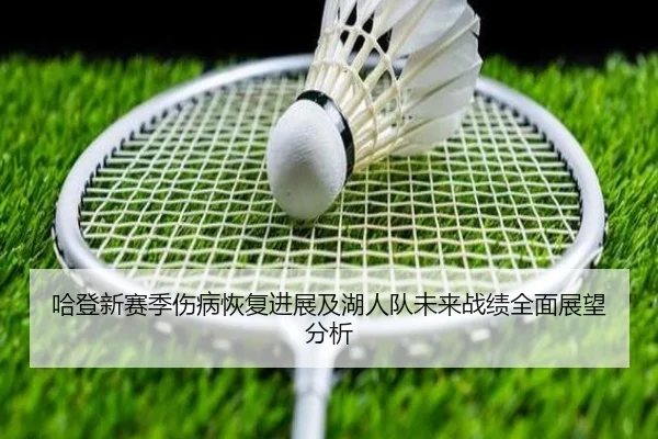 哈登新赛季伤病恢复进展及湖人队未来战绩全面展望分析 | AYX SPORTS
